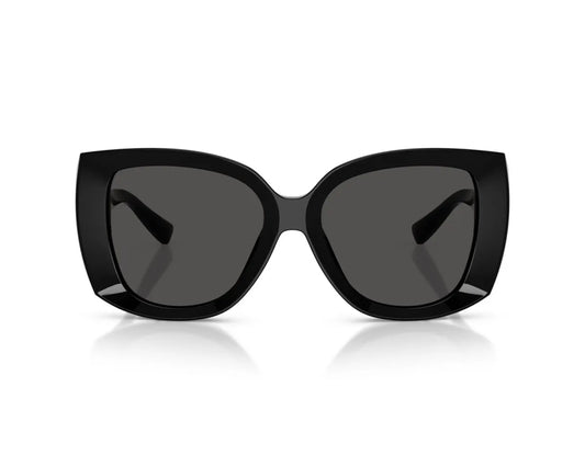 Dolce&Gabbana DG4495 501/87