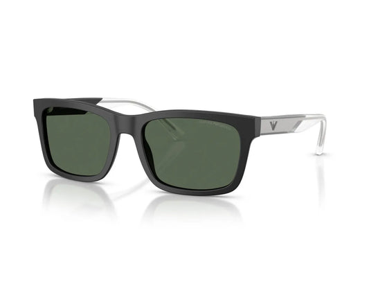 Emporio Armani EA4224 500171