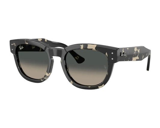 Ray-Ban Mega Hawkeye RB0298S 133371