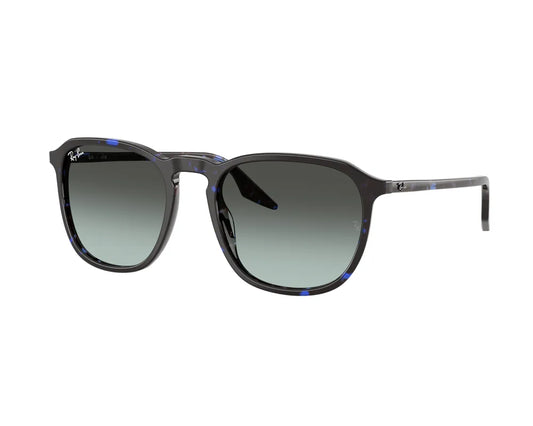Ray-Ban RB2203 1430GK