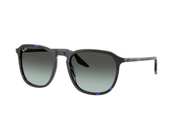 Ray-Ban RB2203 1430GK