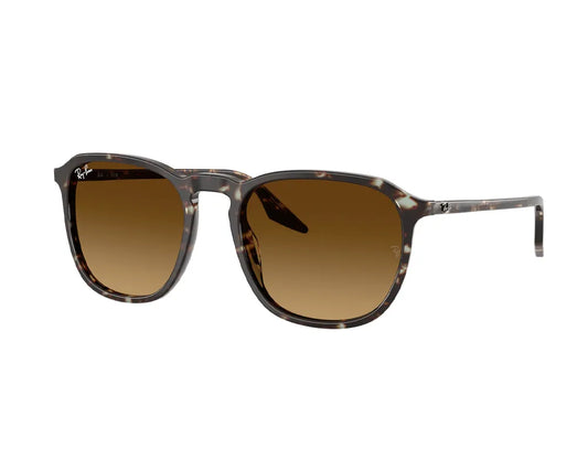 Ray-Ban RB2203 143185