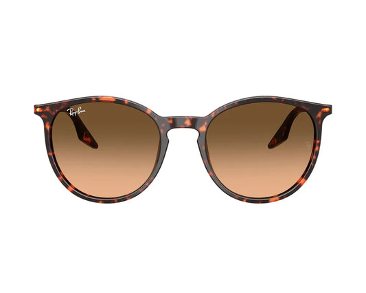 Ray-Ban RB2204 14293B