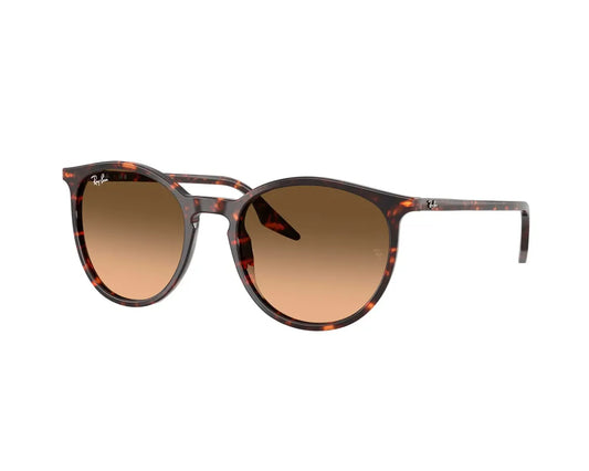Ray-Ban RB2204 14293B