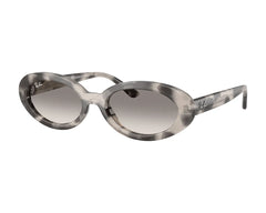 Ray-Ban RB2223 144832