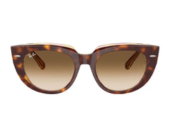 Ray-Ban RB2286 141451