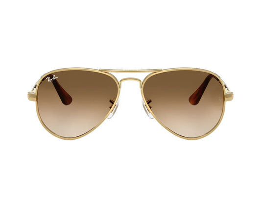 Ray-Ban Aviator Max RB3925 001/51