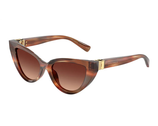 Dolce&Gabbana DG4497 322113