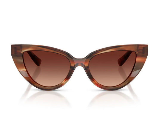 Dolce&Gabbana DG4497 322113