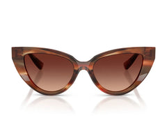 Dolce&Gabbana DG4497 322113